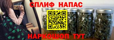 PSILOCYBIN Пушкино