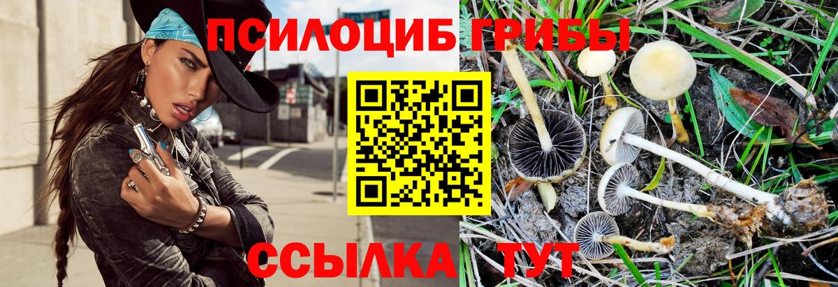 наркотики  Псилоцибиновые грибы Psilocybe  Вход с VPN  Саяногорск 
